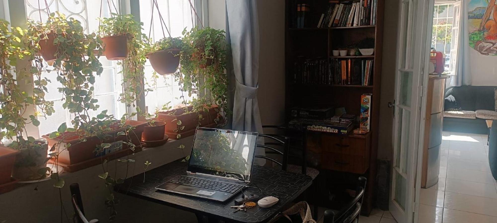 Quinoa Backpackers Hostel Лима Экстерьер фото