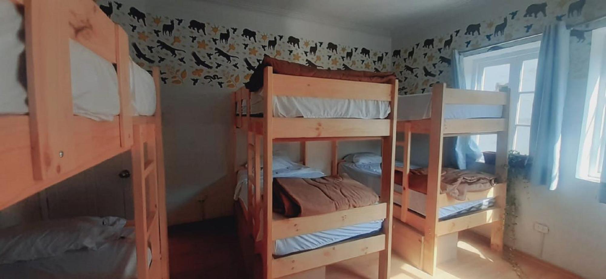 Quinoa Backpackers Hostel Лима Экстерьер фото