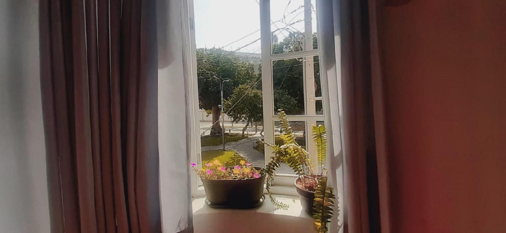 Quinoa Backpackers Hostel Лима Экстерьер фото